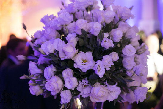 Fot�grafa: Ruth Arcari