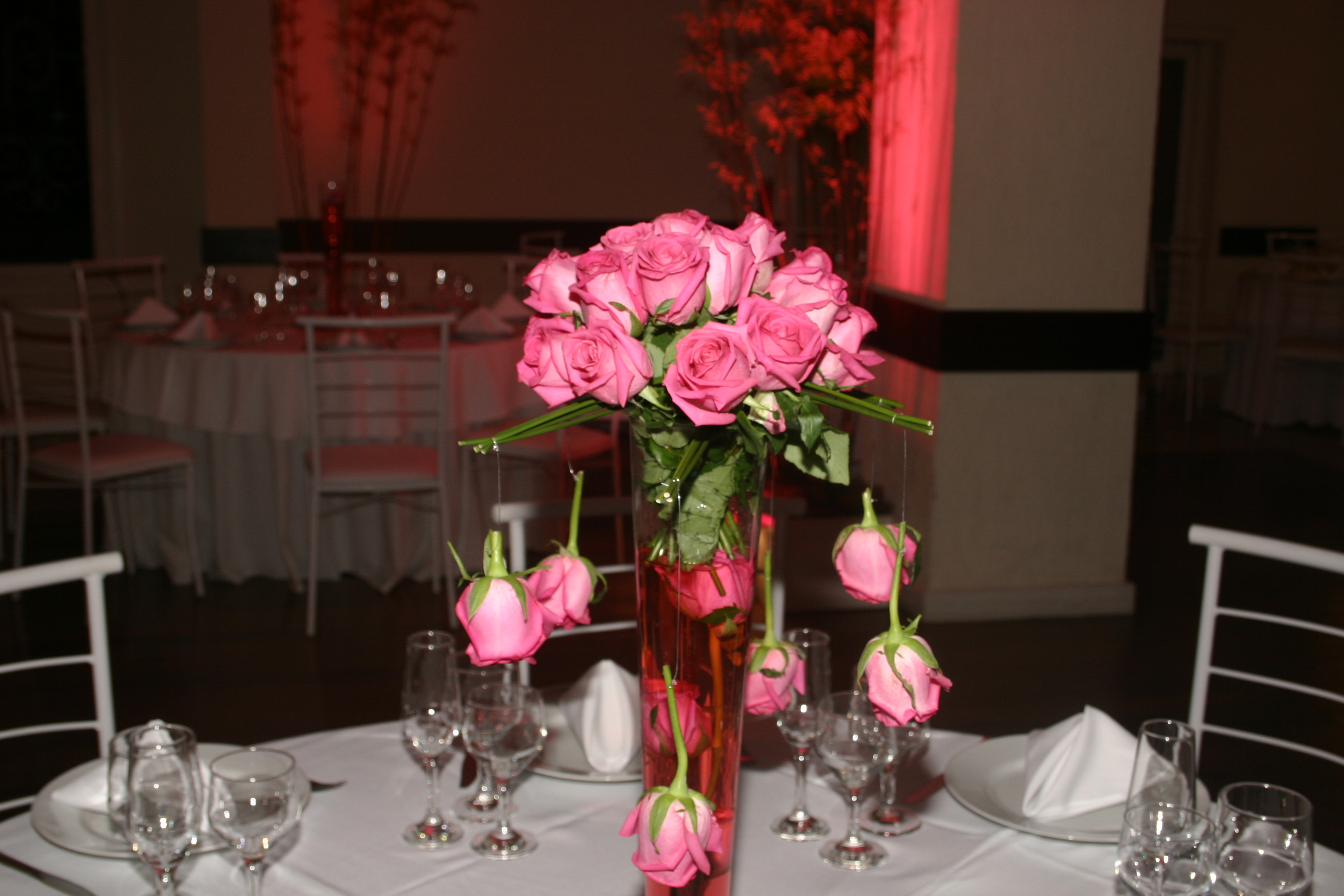 Fot�grafo Jaime Brusque