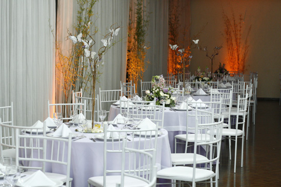 Fot�grafo M�rcio Ferraz