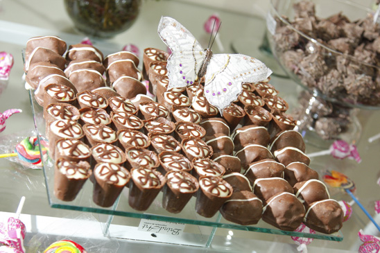 Fot�grafo M�rcio Ferraz