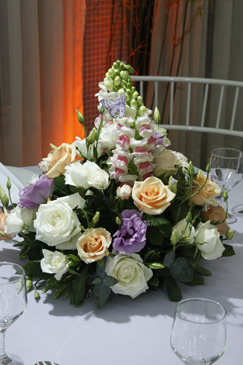 Fot�grafo M�rcio Ferraz