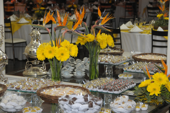 Fot�grafo Joaquim Mello (Magis Produ��es)