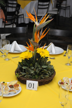 Fot�grafo Joaquim Mello (Magis Produ��es)