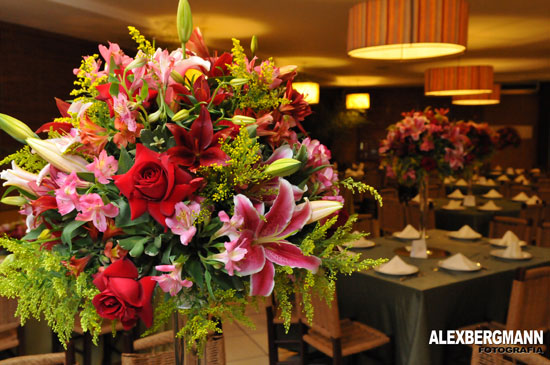 Fot�grafo Alex Bergmann 