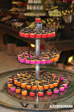 Fot�grafo Alex Bergmann 