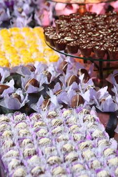 Fot�grafo Jorge Scherer