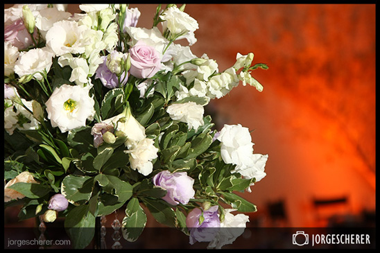 Fot�grafo Jorge Scherer