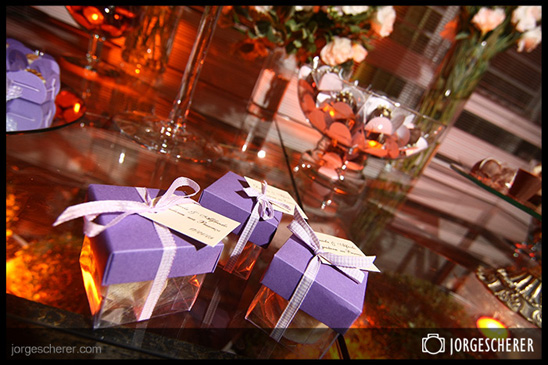 Fot�grafo Jorge Scherer