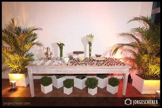 Fot�grafo Jorge Scherer