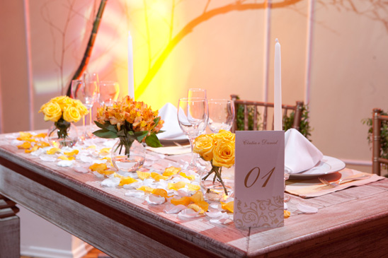 Fotgrafo Jorge Scherer