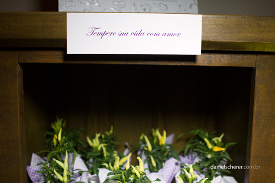 Fotgrafo Daniel Scherer