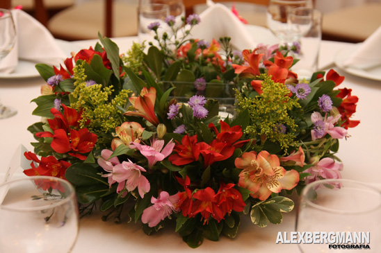  Fotgrafo Alex Bergmann