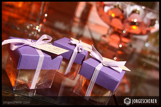 Fotgrafo Jorge Scherer